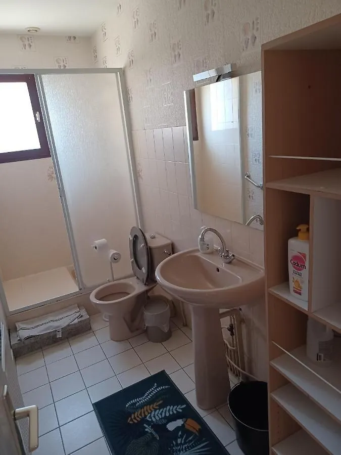 Appartement Dynamique Et Splendide à Bourgoin-Jallieu